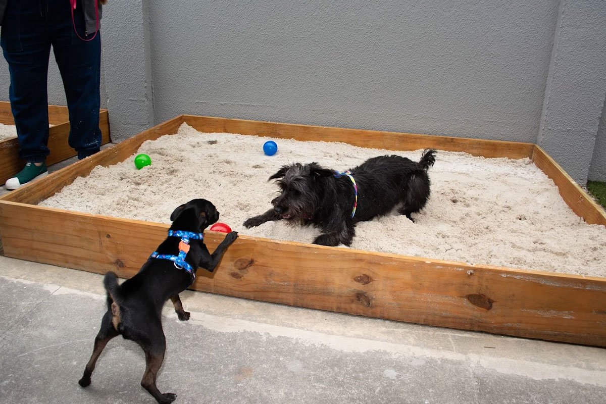 vital-pet-galeria-04