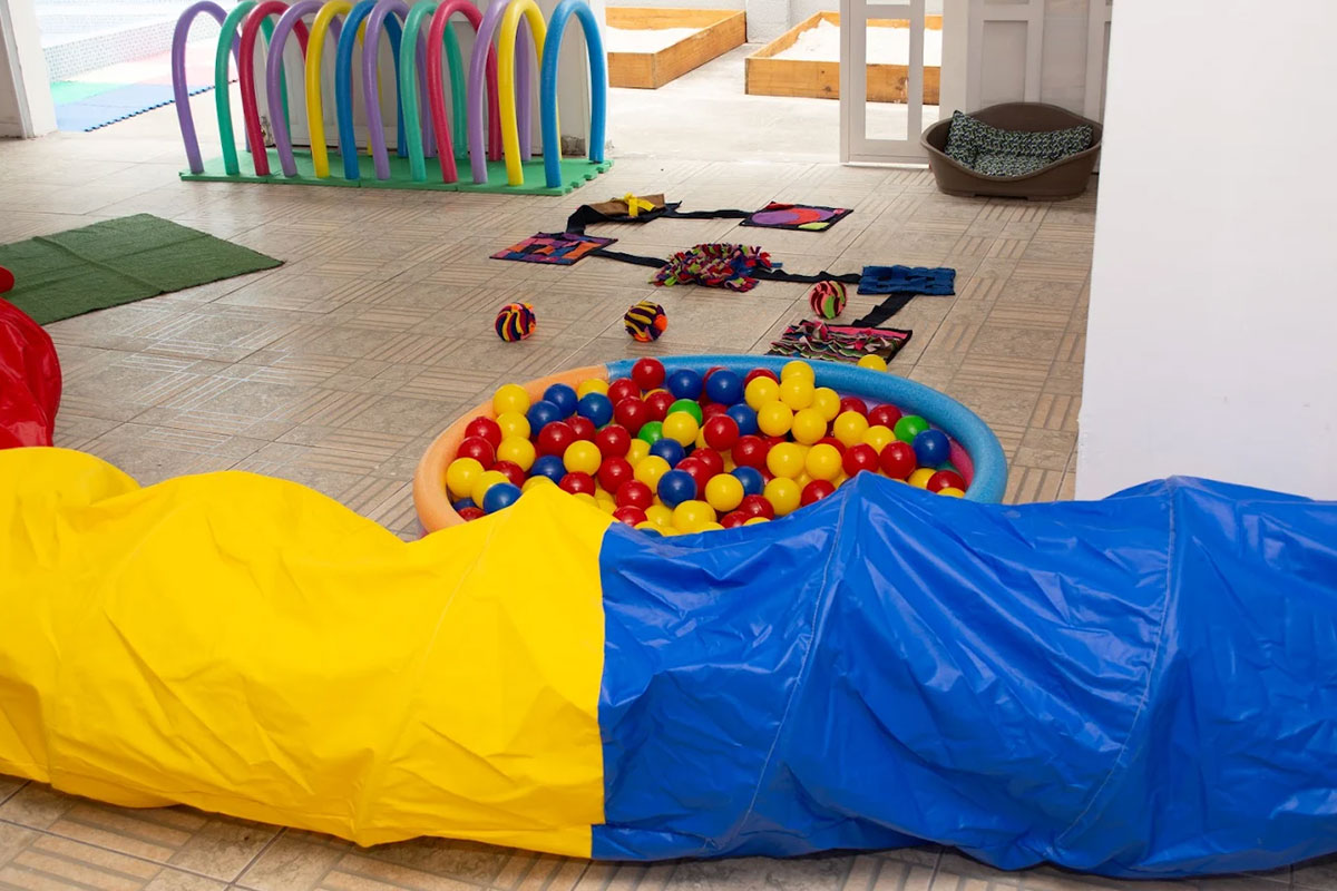 vital-pet-galeria-12