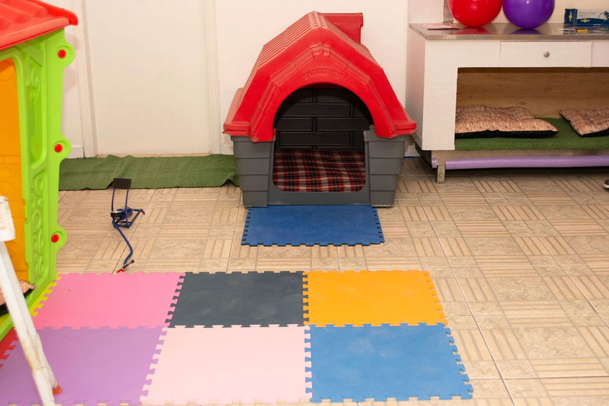 vital-pet-galeria-13